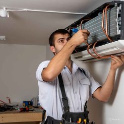 WhatsApp Image 2025-06-24 at 3.07.41 PM (3)